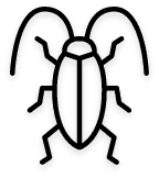 cockroaches, cockroach, cockroach fumigation, cockroach fumigator