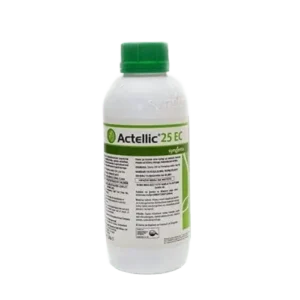 actellic 25 ec, actellic 25 ec insecticide, actellic 25ec, actellic 25ec chemical, actellic insecticide, actellic insecticide in kenya, actellic 50ec insecticide, where to buy actellic insecticide in kenya, actellic pesticide, actellic 25ec price, actellic 25ec mixing ratio, actellic 25ec price, actellic 25ec, actellic 25ec insecticide, actellic 25ec mixing ratio, actellic 25 ec insecticide price, actellic 50 EC uses, actellic 25 ec insecticide active ingredient, actellic 25 ec insecticide how to use