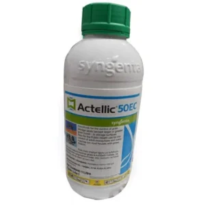 ctellic 50 ec, actellic 50 ec insecticide, actellic 50ec, actellic 50ec chemical, actellic insecticide, actellic insecticide in kenya, actellic 50ec insecticide, where to buy actellic insecticide in kenya, actellic pesticide, actellic 50ec price, actellic 50ec mixing ratio, actellic 50ec price, actellic 50ec, actellic 50ec insecticide, actellic 50ec mixing ratio, actellic 50 ec insecticide price, actellic 50 EC uses, actellic 50 ec insecticide active ingredient, actellic 50 ec insecticide how to use