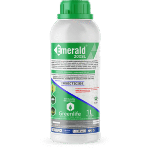 Emerald 200sl, Emerald 200sl Insecticide, Emerald 200sl Insecticide price, Emerald 200sl Insecticide 1L, emerald insecticide in kenya, emerald pesticide, emerald price in kenya, emerald insecticide price in kenya, buy emerald in kenya, emerald price in kenya, emerald insecticide price in kenya, emerald, emerald insecticide, emerald 200 sl insecticide price in kenya, emerald 200 sl insecticide reviews, how to use emerald 200 sl insecticide, emerald 200 sl insecticide label, emerald 200 sl insecticide suppliers in kenya, emerald 200 sl insecticide msds, emerald 200 sl insecticide mode of action, emerald 200 sl insecticide dosage, emerald 200 sl insecticide toxicity, emerald 200 sl insecticide efficacy, emerald 200 sl insecticide application, emerald 200 sl insecticide benefits, emerald 200 sl insecticide active ingredient, emerald 200 sl insecticide resistance, emerald 200 sl bed bug killer